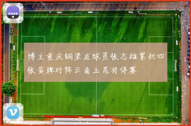 博主重庆铜梁龙球员张志雄累积四张黄牌对阵云南玉昆将停赛